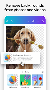 Canva: Design, Art & AI Editor Screenshot